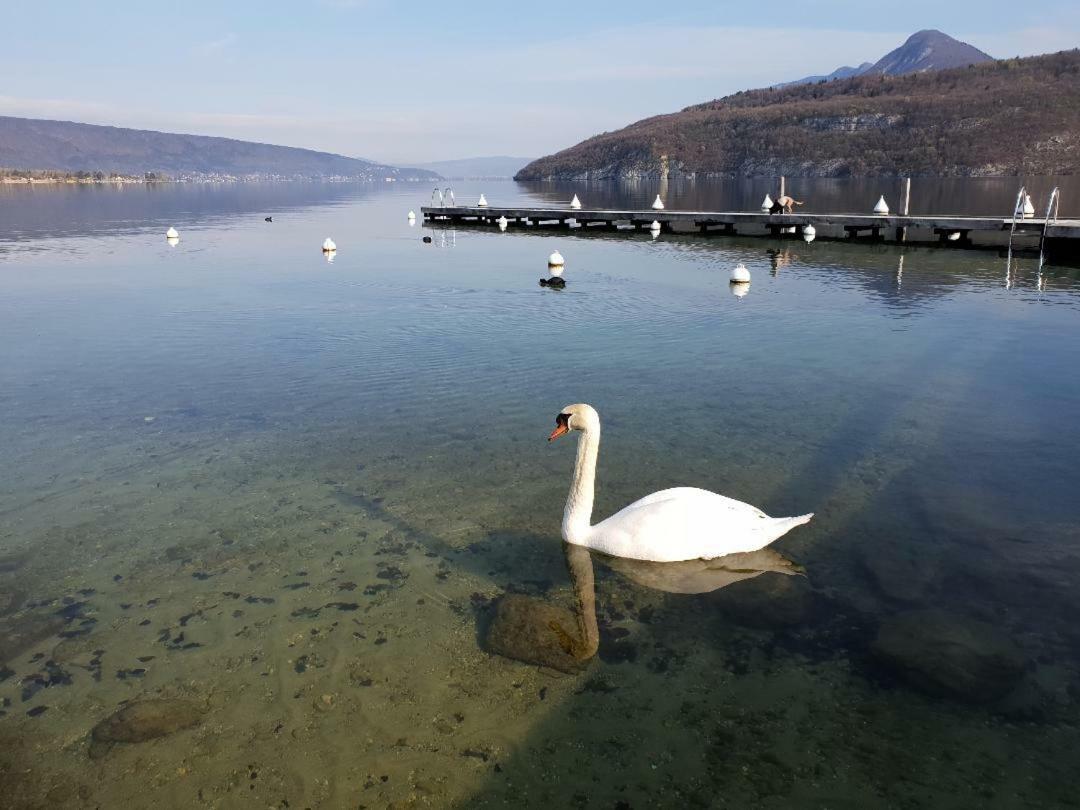 La Baie Des Voiles 3 Chambres 4 A 6 Personnes Au Bord Du Lac Plage Privee 뒤엥 외부 사진